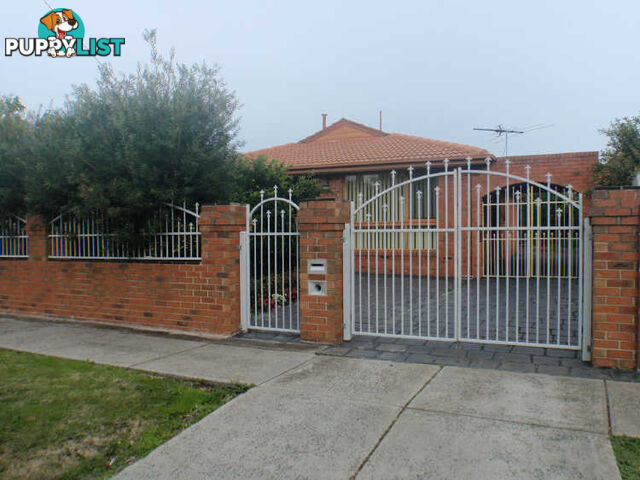 42 Murchison Crescent CLAYTON SOUTH VIC 3169