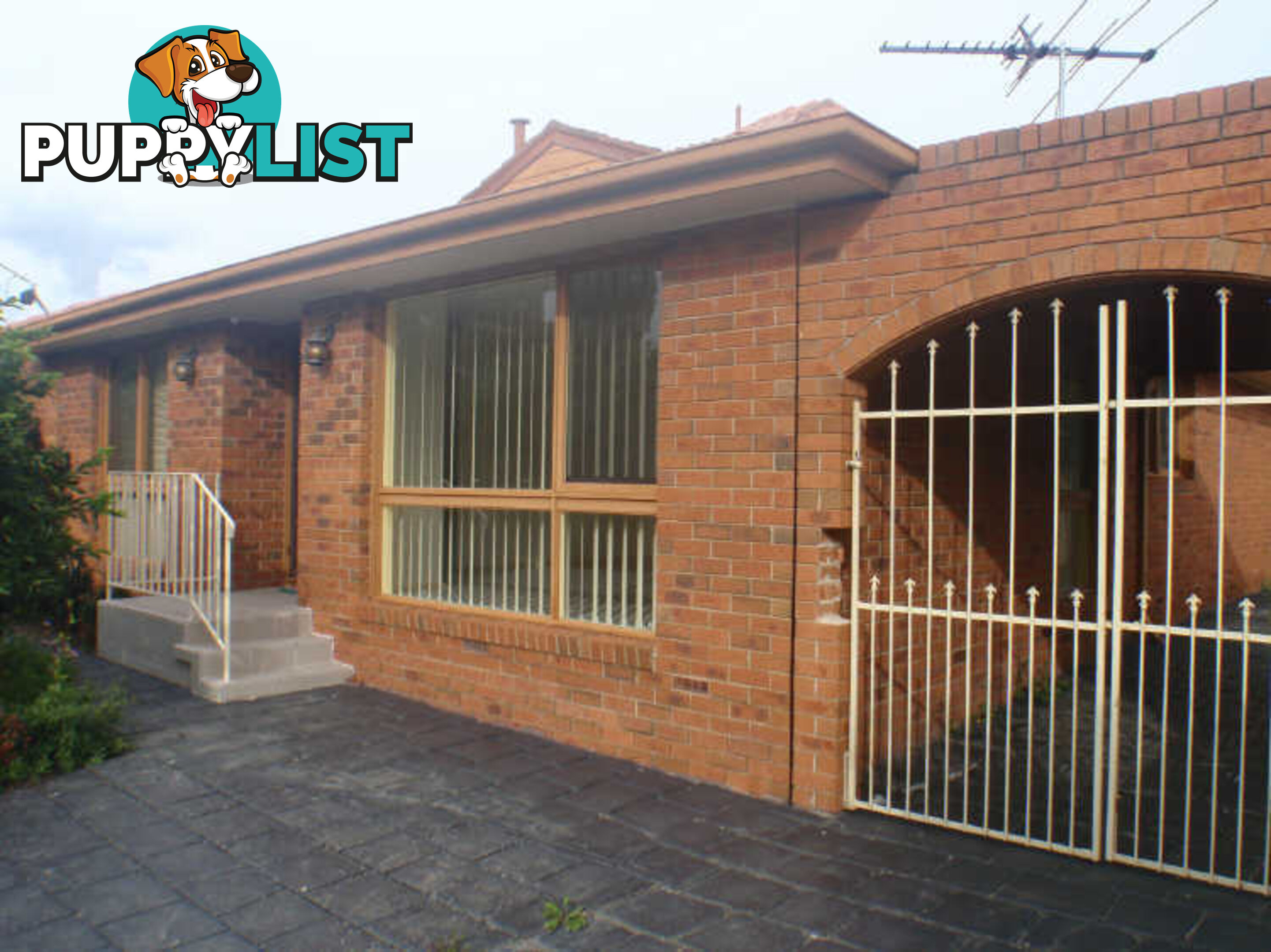 42 Murchison Crescent CLAYTON SOUTH VIC 3169