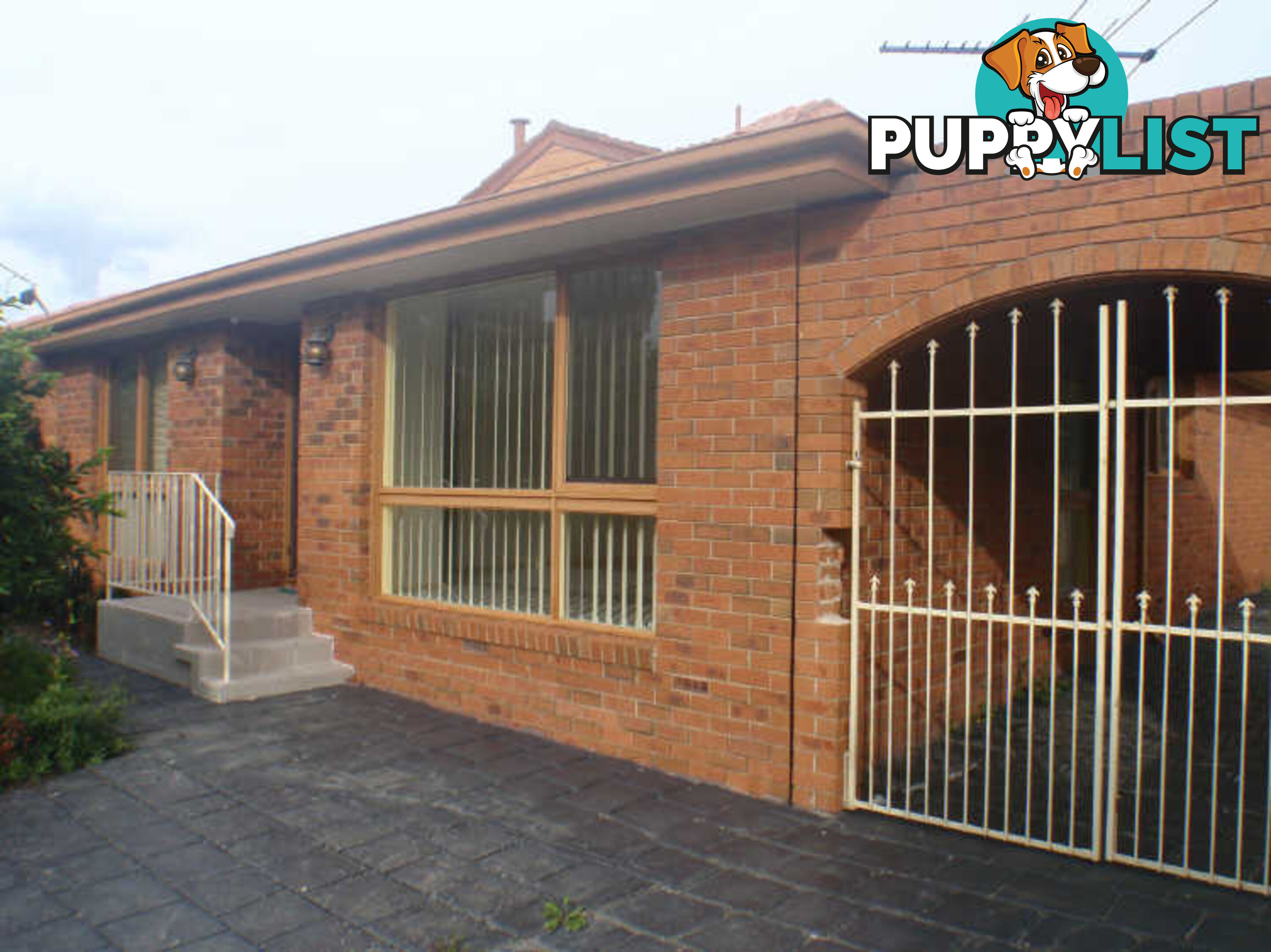 42 Murchison Crescent CLAYTON SOUTH VIC 3169