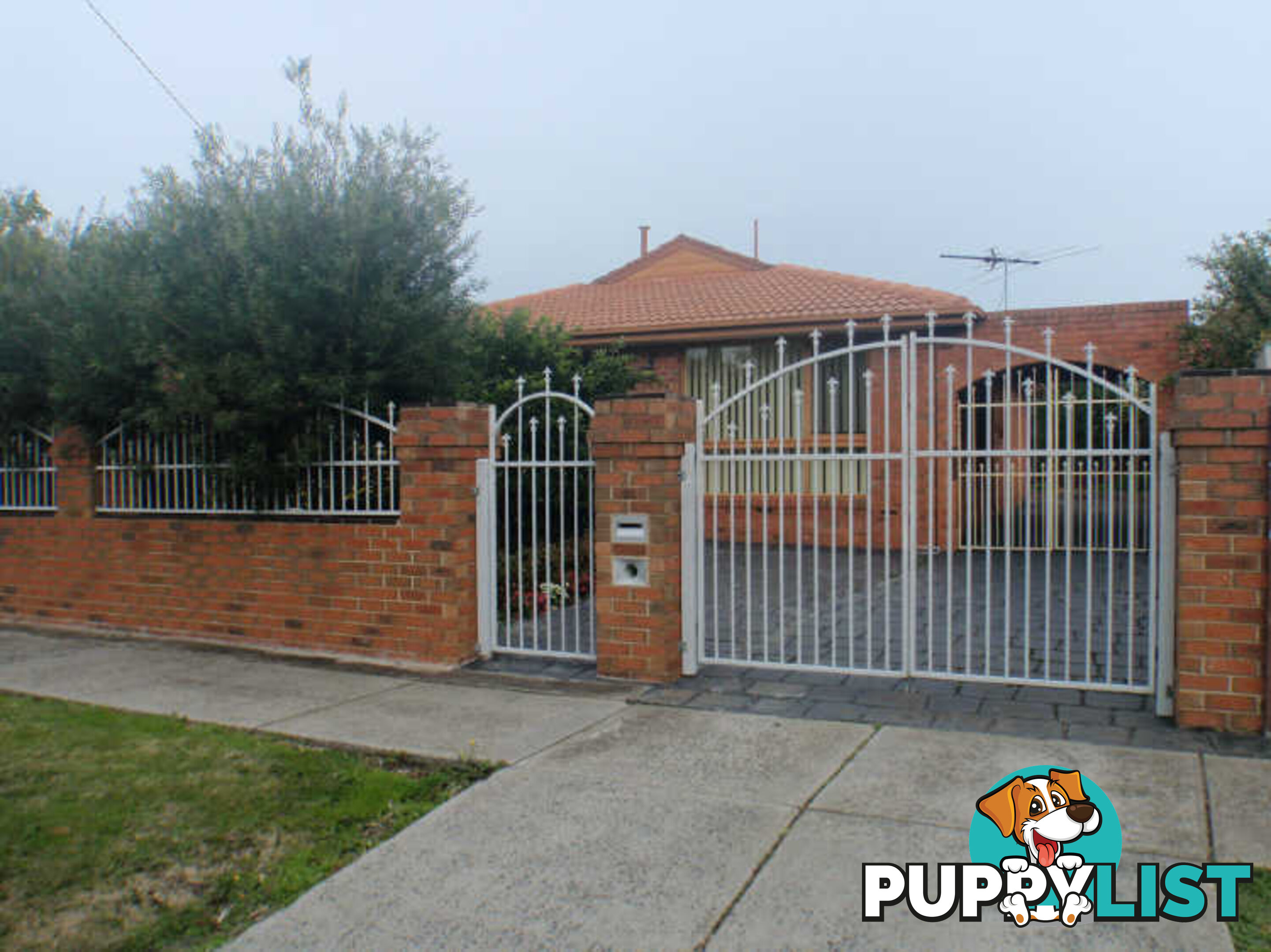 42 Murchison Crescent CLAYTON SOUTH VIC 3169