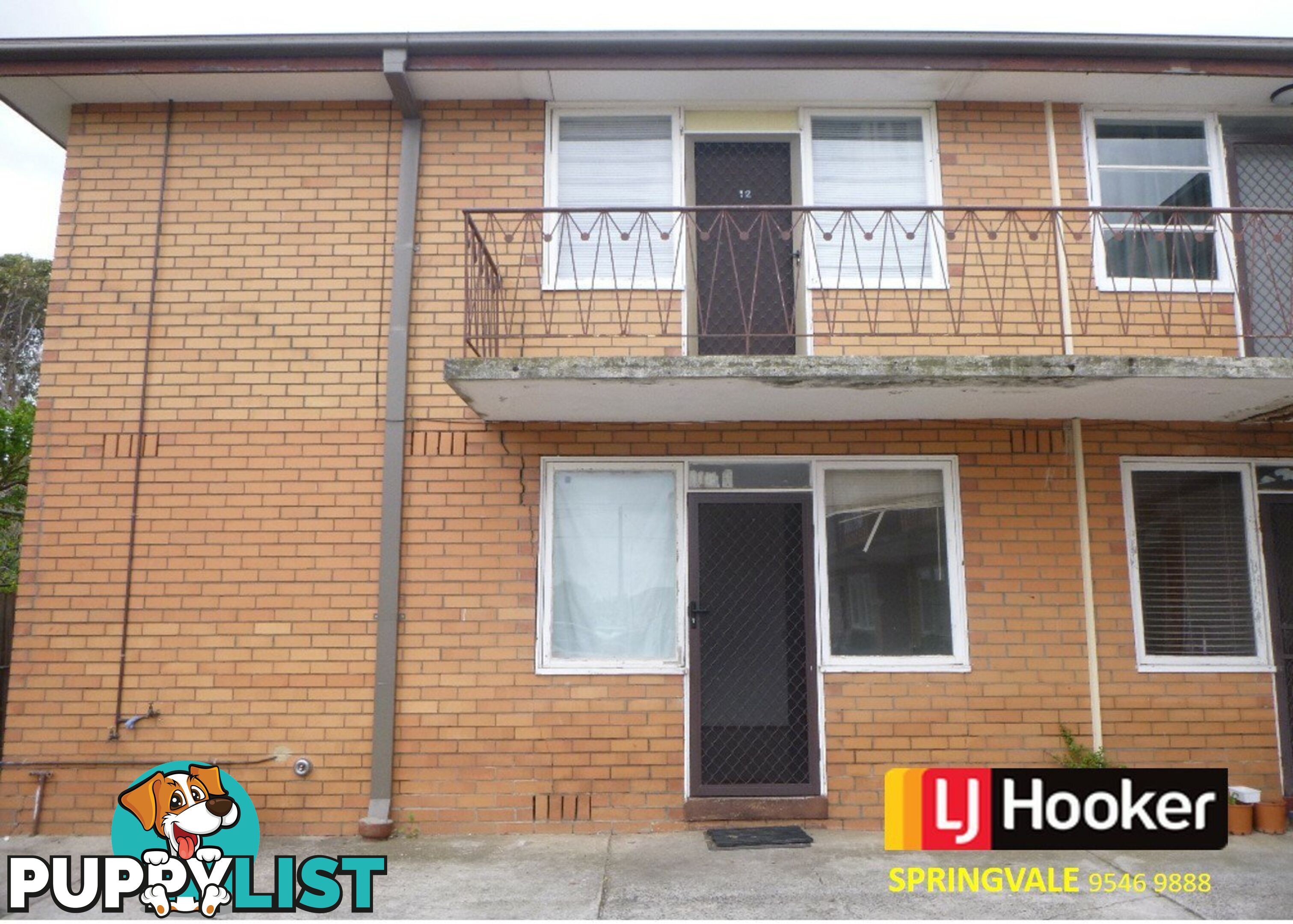 6/17 Royal Avenue SPRINGVALE VIC 3171