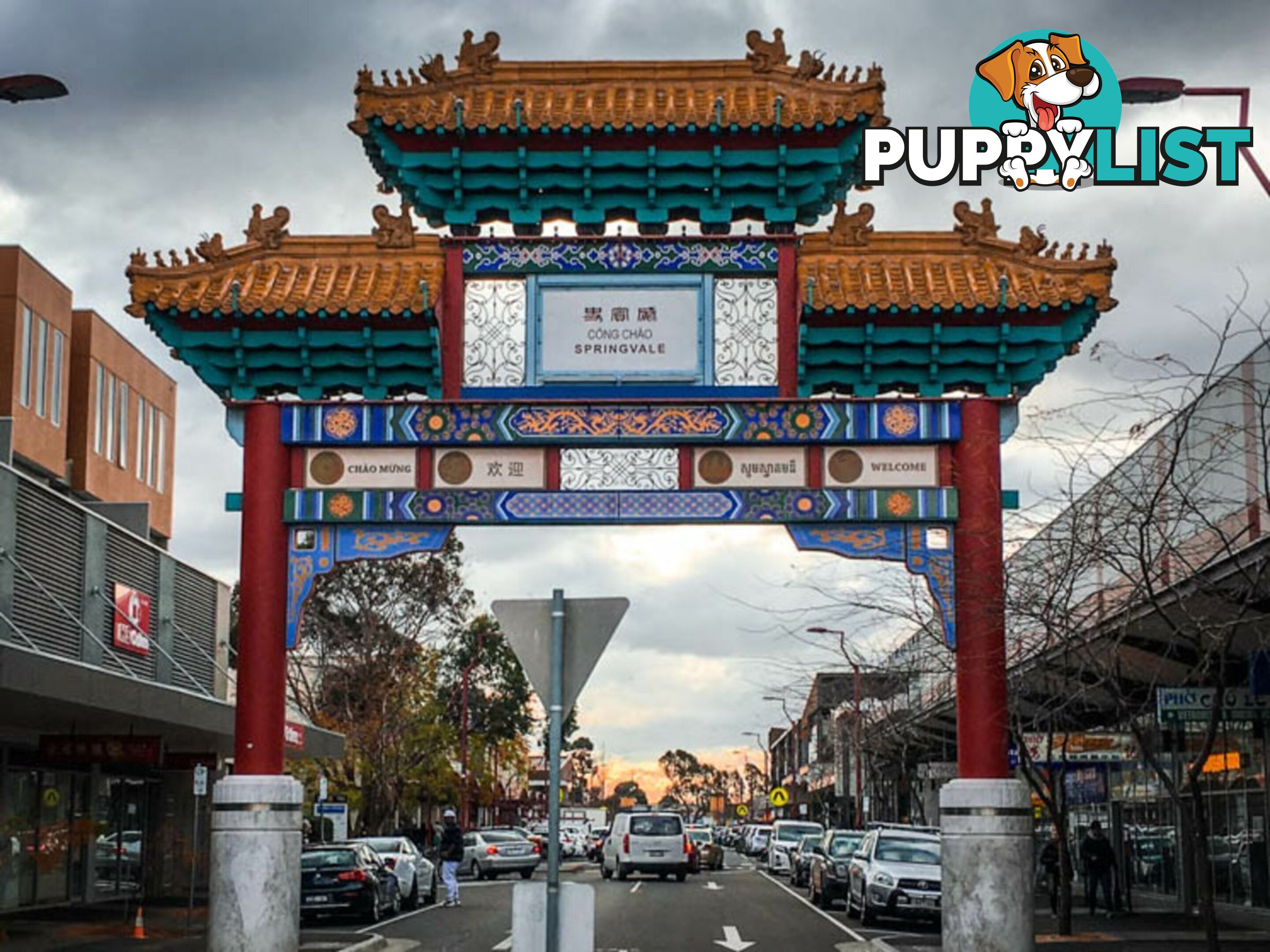 7/17 Royal Avenue SPRINGVALE VIC 3171