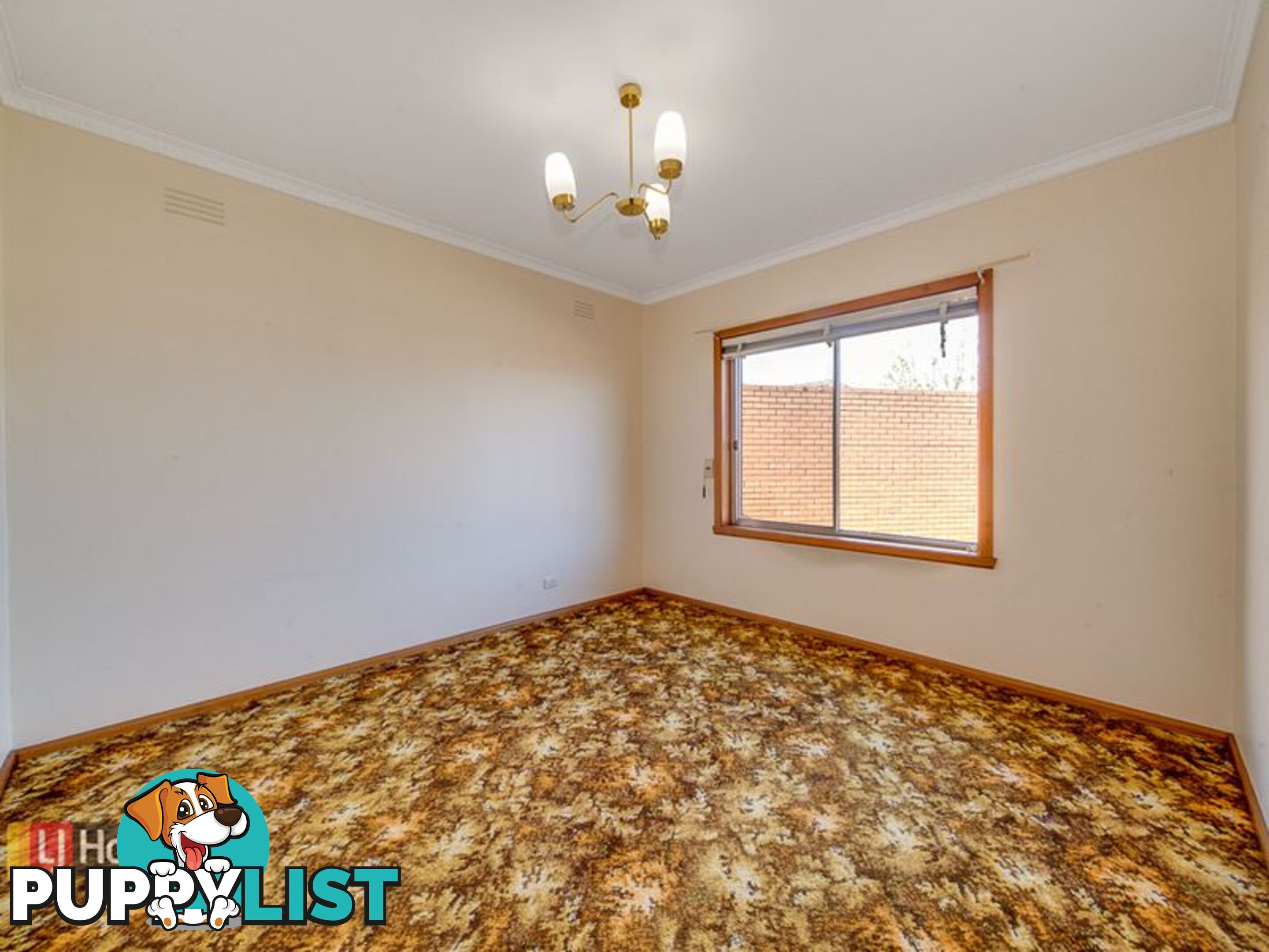 34 Hillcrest grove SPRINGVALE VIC 3171