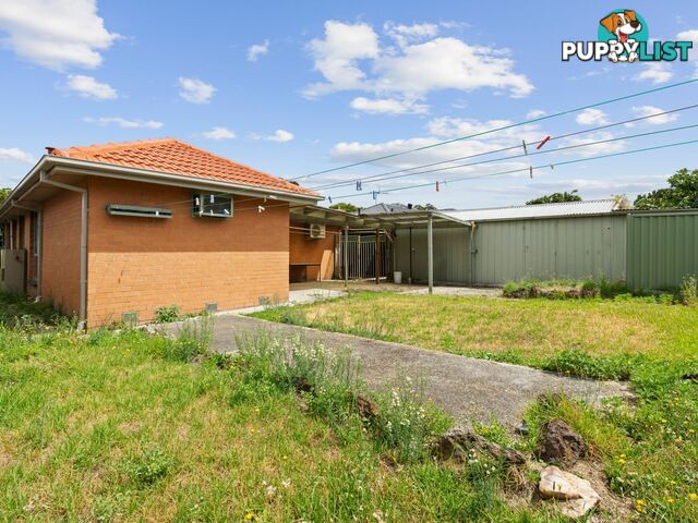 43 Bertha Street SPRINGVALE VIC 3171