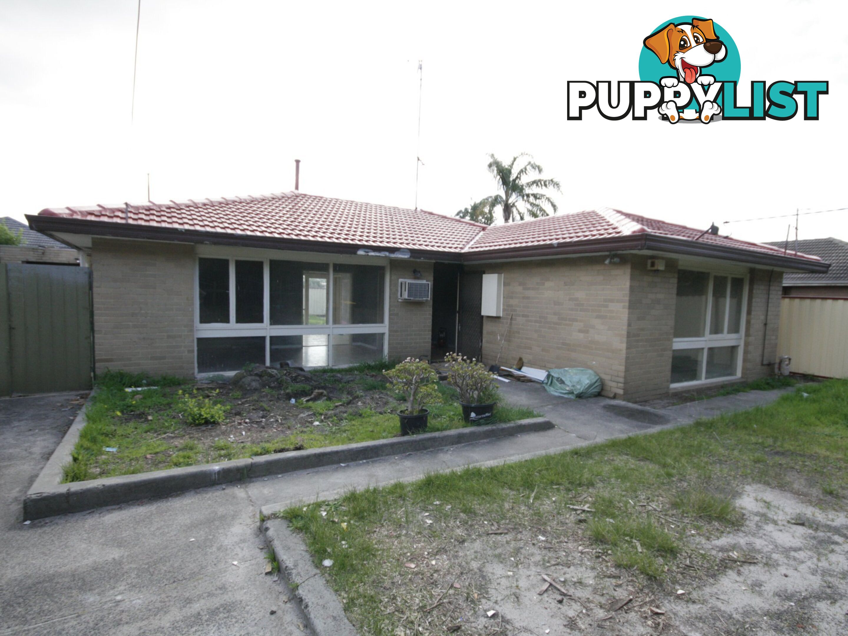 17 Mackay Street SPRINGVALE SOUTH VIC 3172