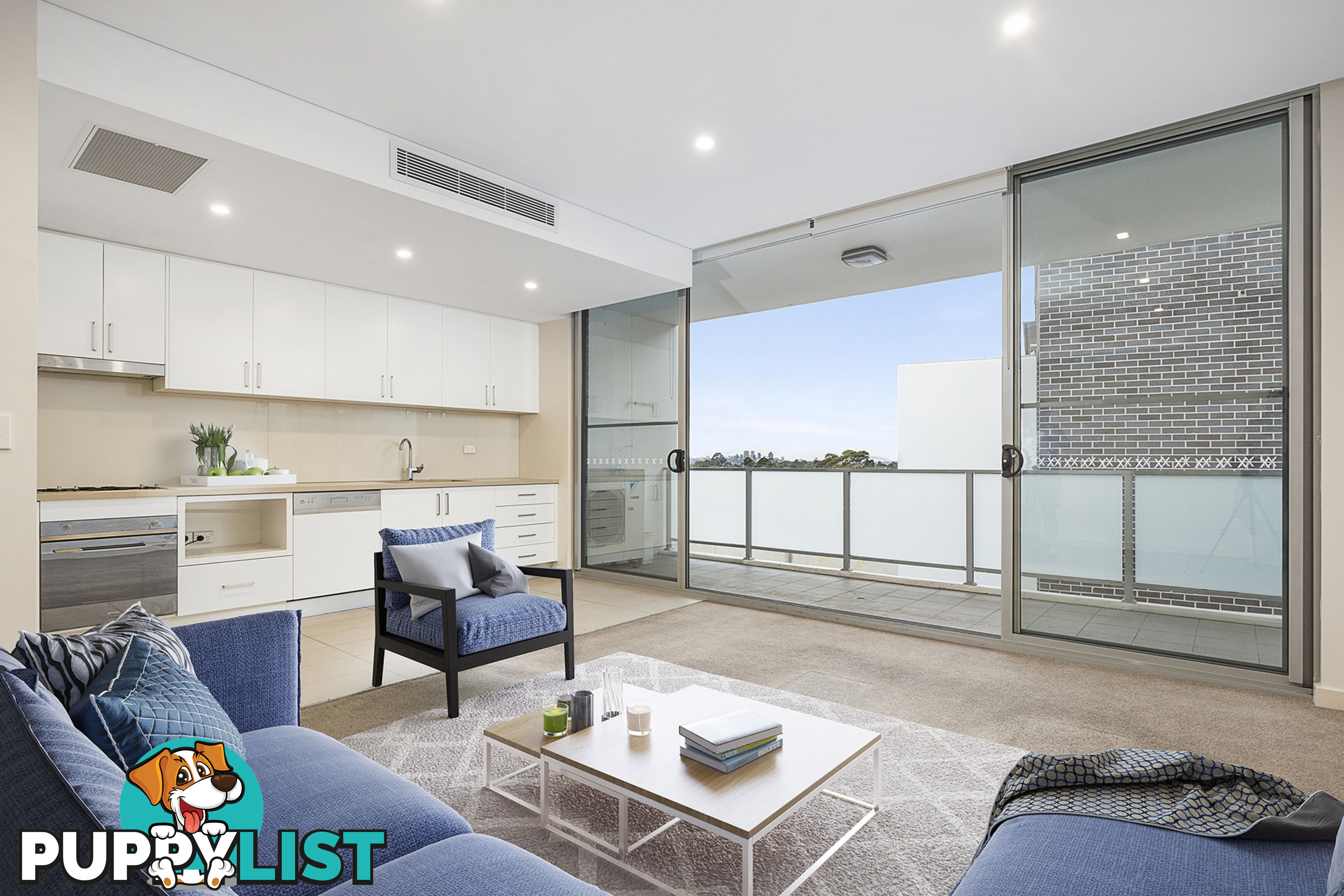 41/1-9 Monash Road GLADESVILLE NSW 2111