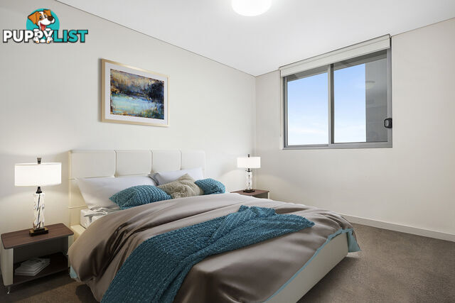 41/1-9 Monash Road GLADESVILLE NSW 2111