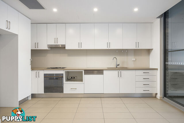 41/1-9 Monash Road GLADESVILLE NSW 2111