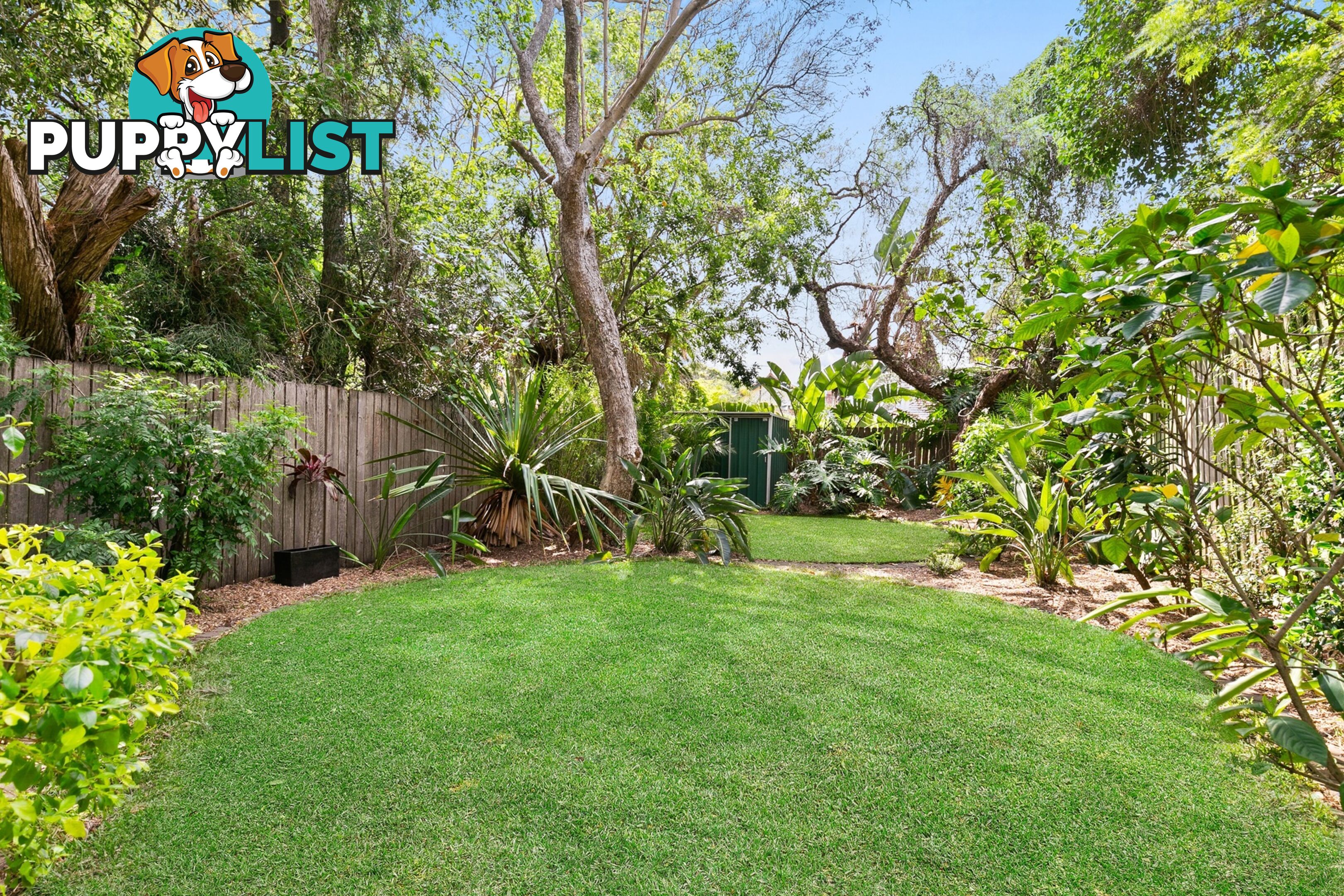 5 Napier Street NORTH STRATHFIELD NSW 2137