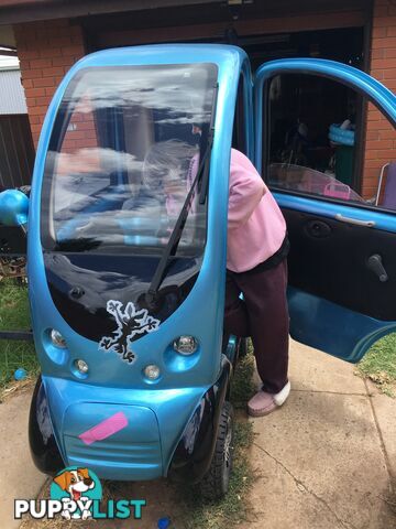 🚗🚗🚗 All weather fully enclosed electric mobility scooter 🚗🚗🚗