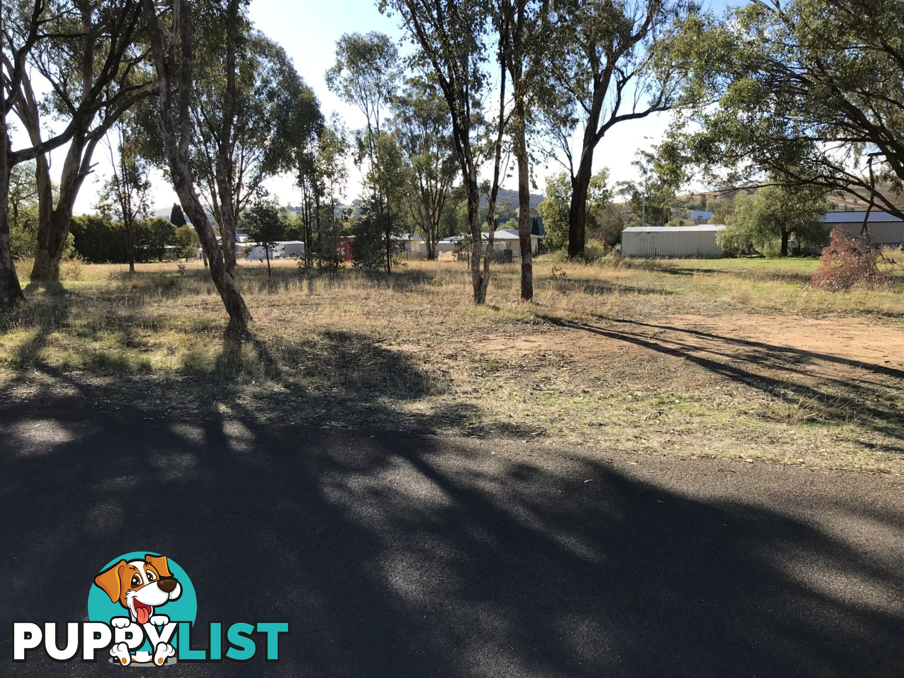 Lot 8 Belmore Street WOODSTOCK NSW 2793