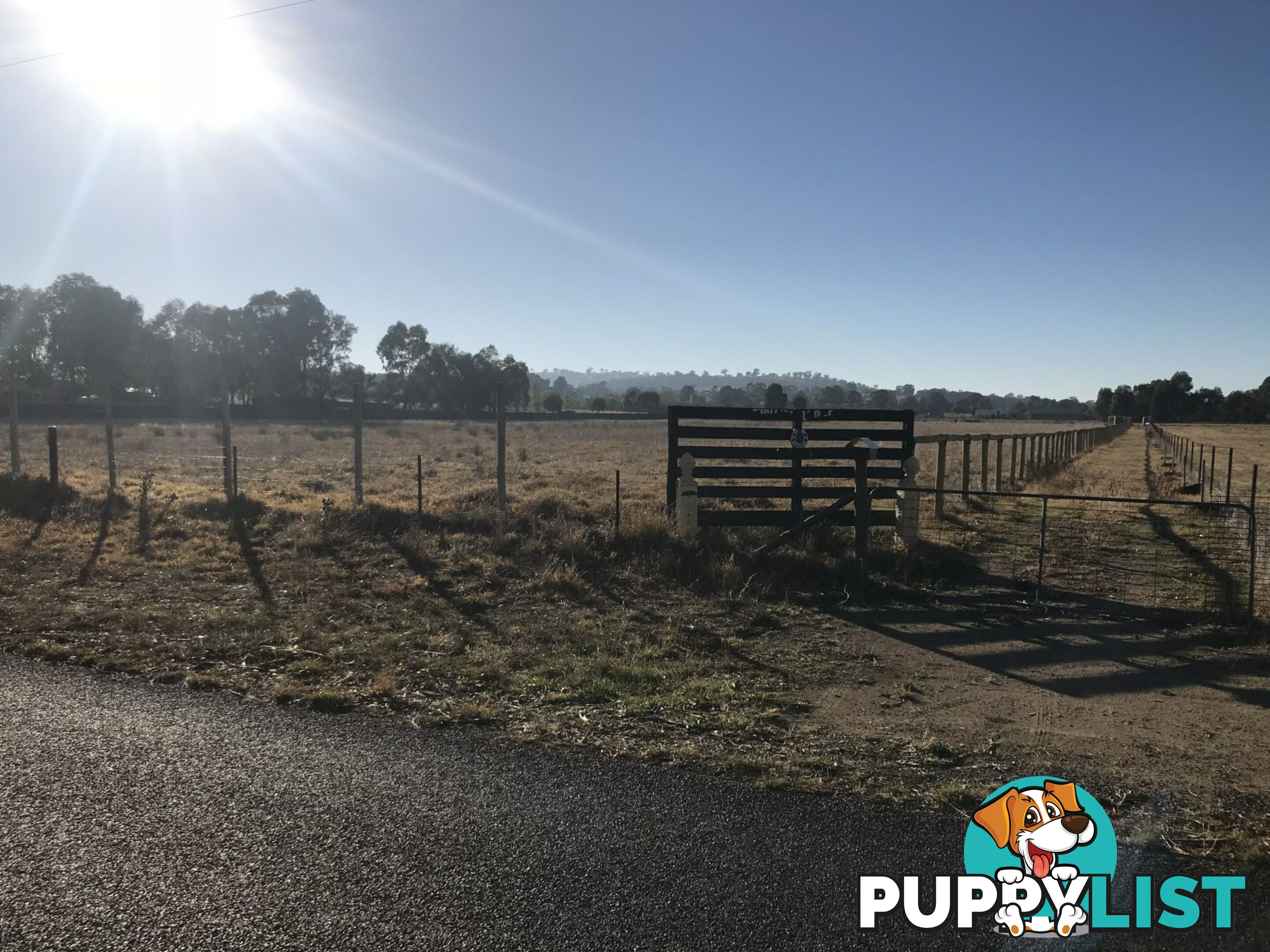 99 Jukes Lane COWRA NSW 2794