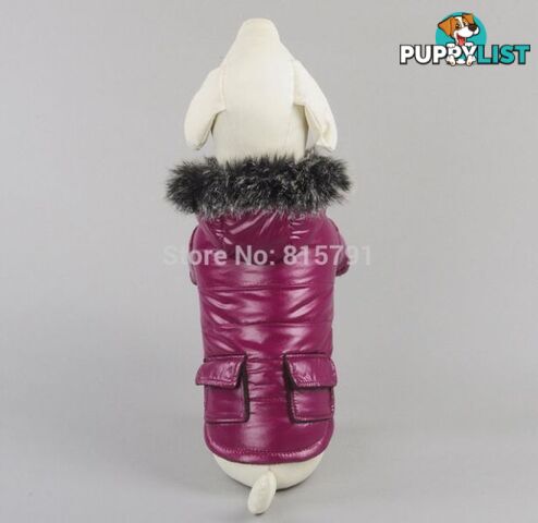 Gorgeous Puffer Bomber Jacket Hoodie for small Dogs