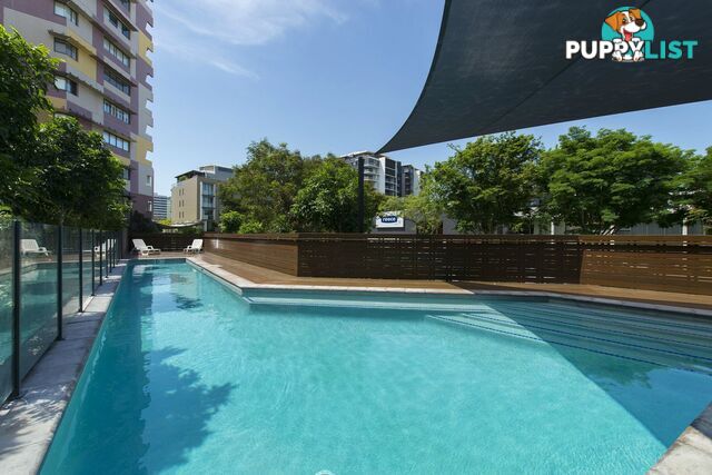 221/8 Musgrave Street West End QLD 4101