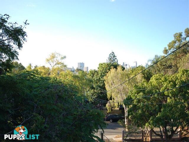 43 Chermside Street Highgate Hill QLD 4101