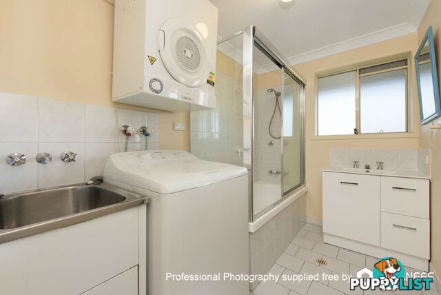 6/126 Wellington Road Kangaroo Point QLD 4169