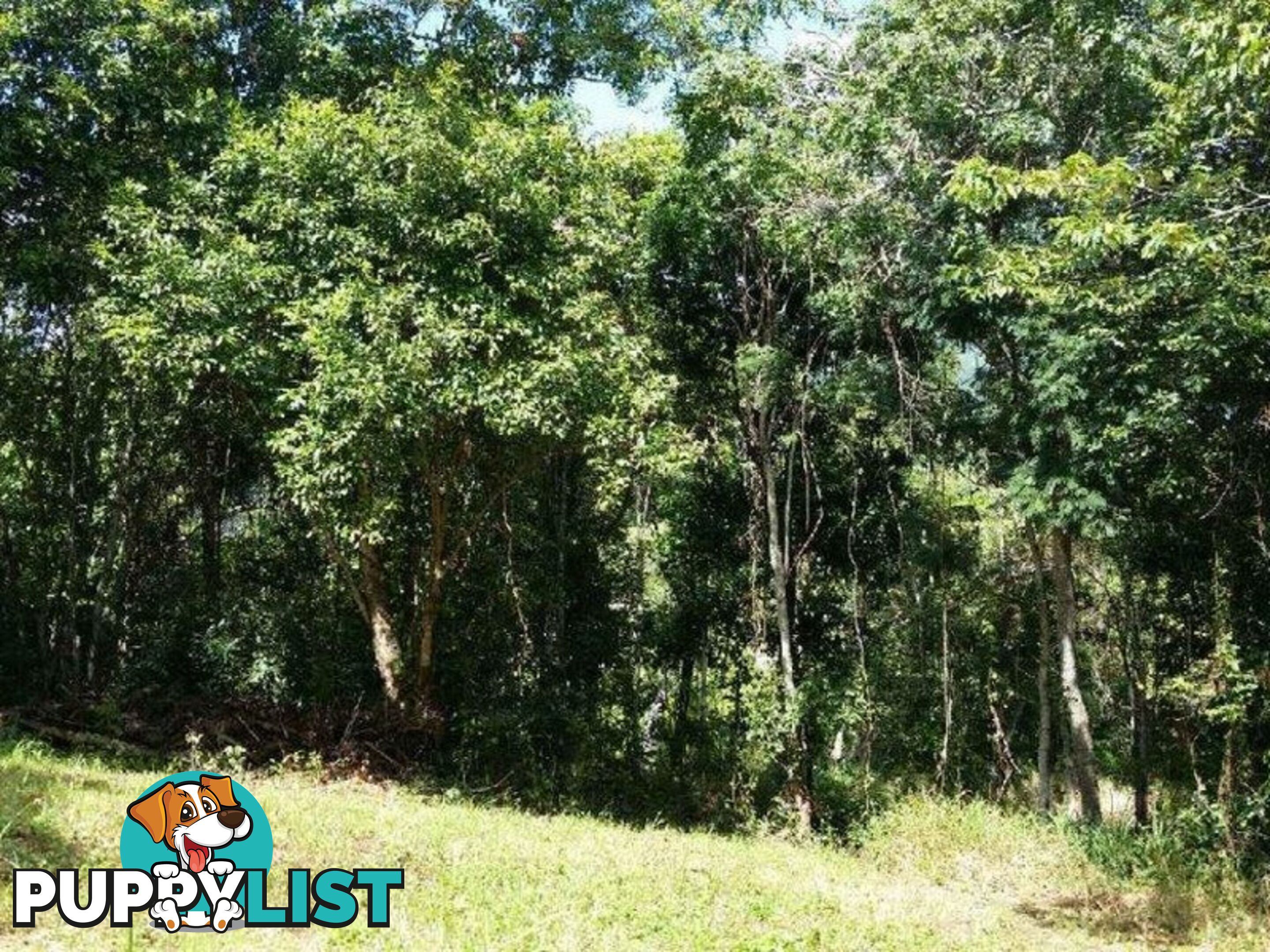 Lot 151 Brinsmead Road (Via Barclay) BRINSMEAD QLD 4870