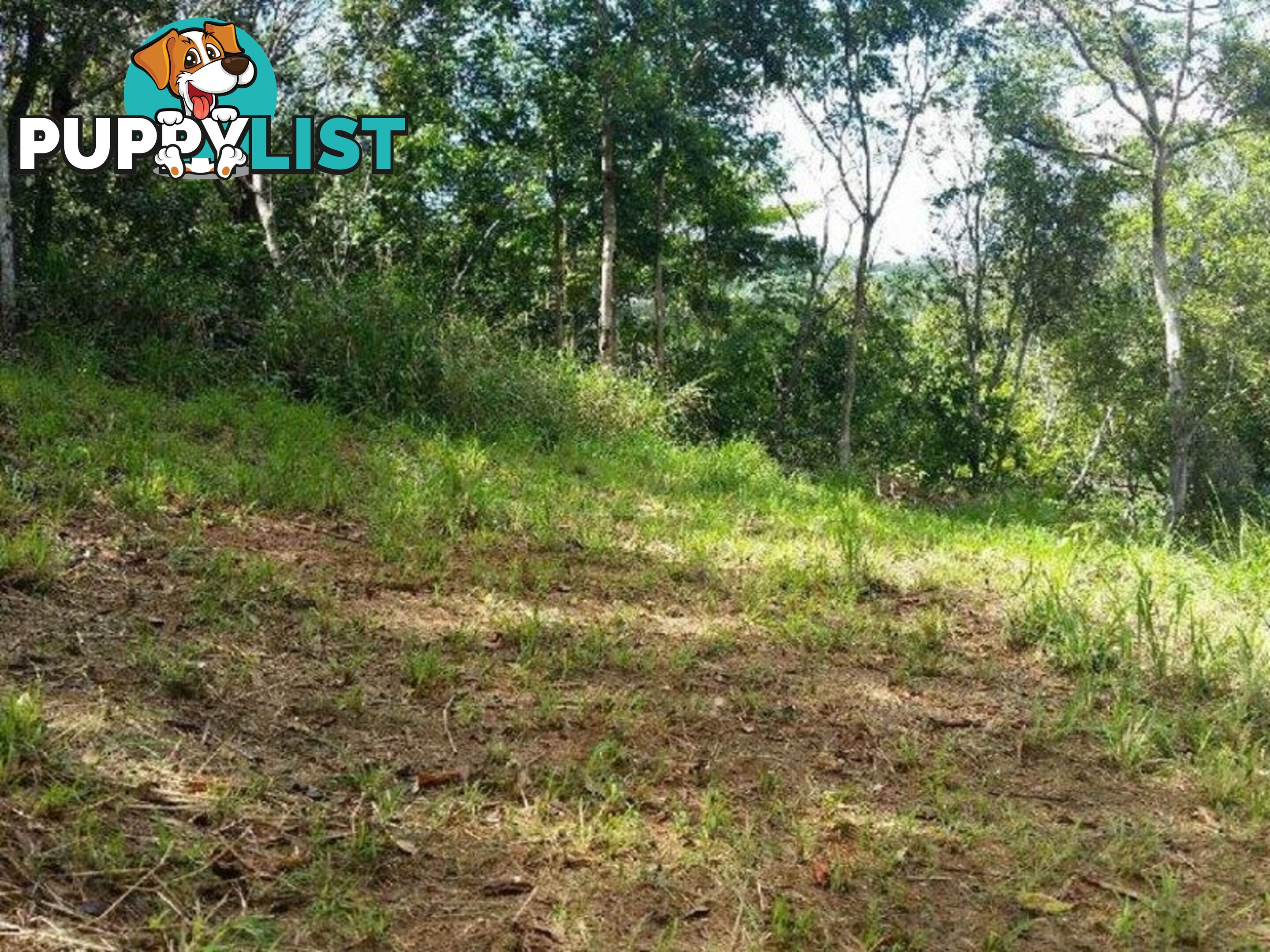 Lot 151 Brinsmead Road (Via Barclay) BRINSMEAD QLD 4870