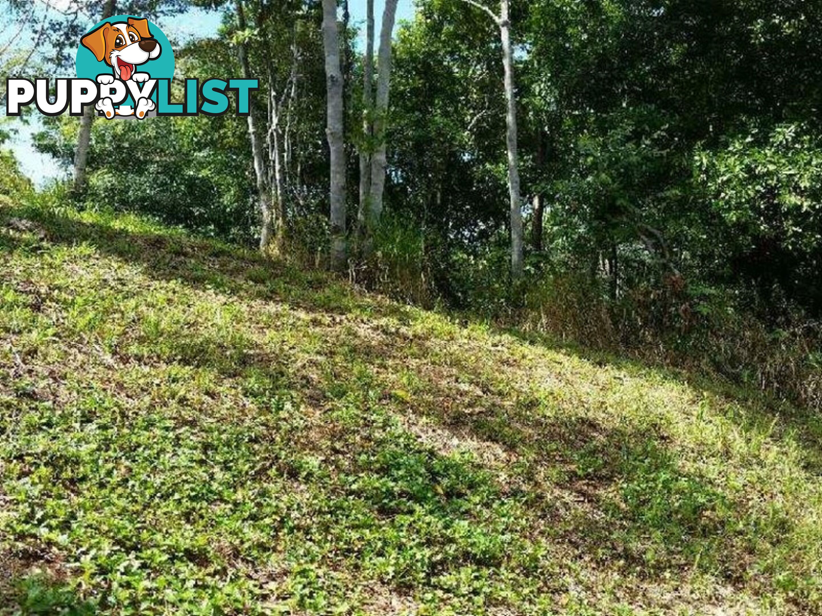 Lot 151 Brinsmead Road (Via Barclay) BRINSMEAD QLD 4870