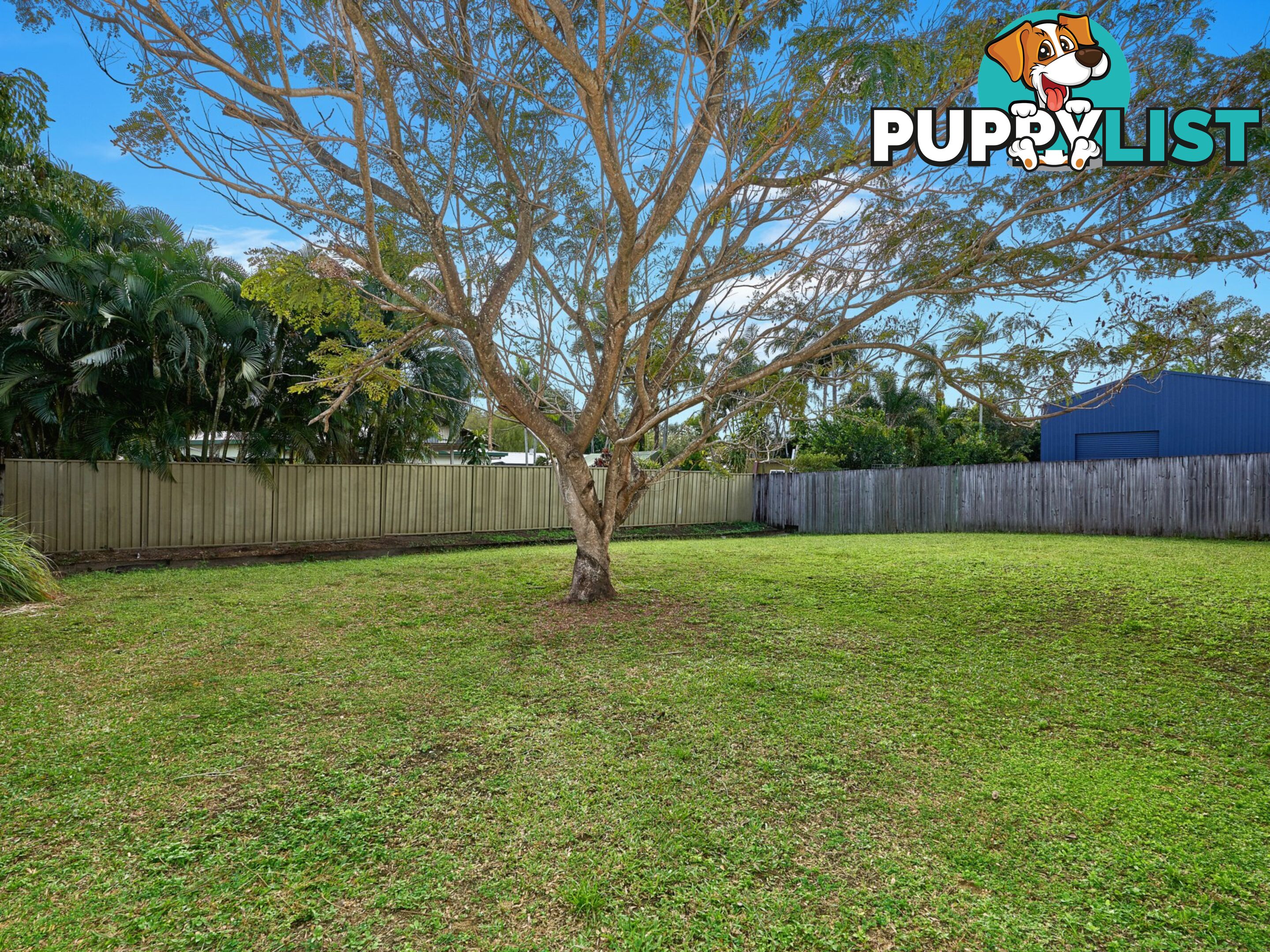 12 Norfolk Close HOLLOWAYS BEACH QLD 4878