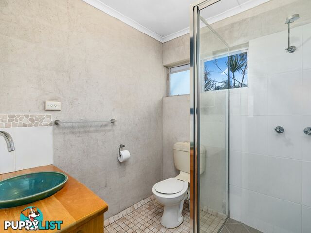 2/21 Bouganvillea Street HOLLOWAYS BEACH QLD 4878