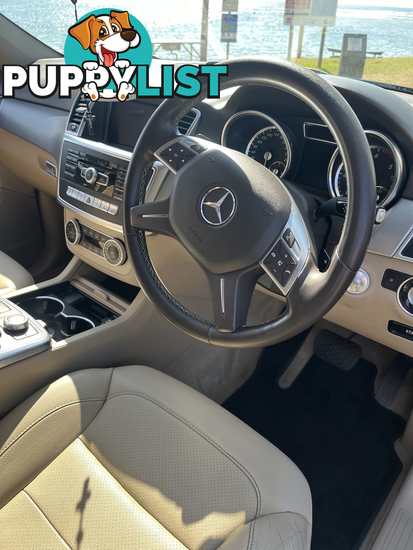 2014 Mercedes-Benz M-Class ML250 SUV Automatic