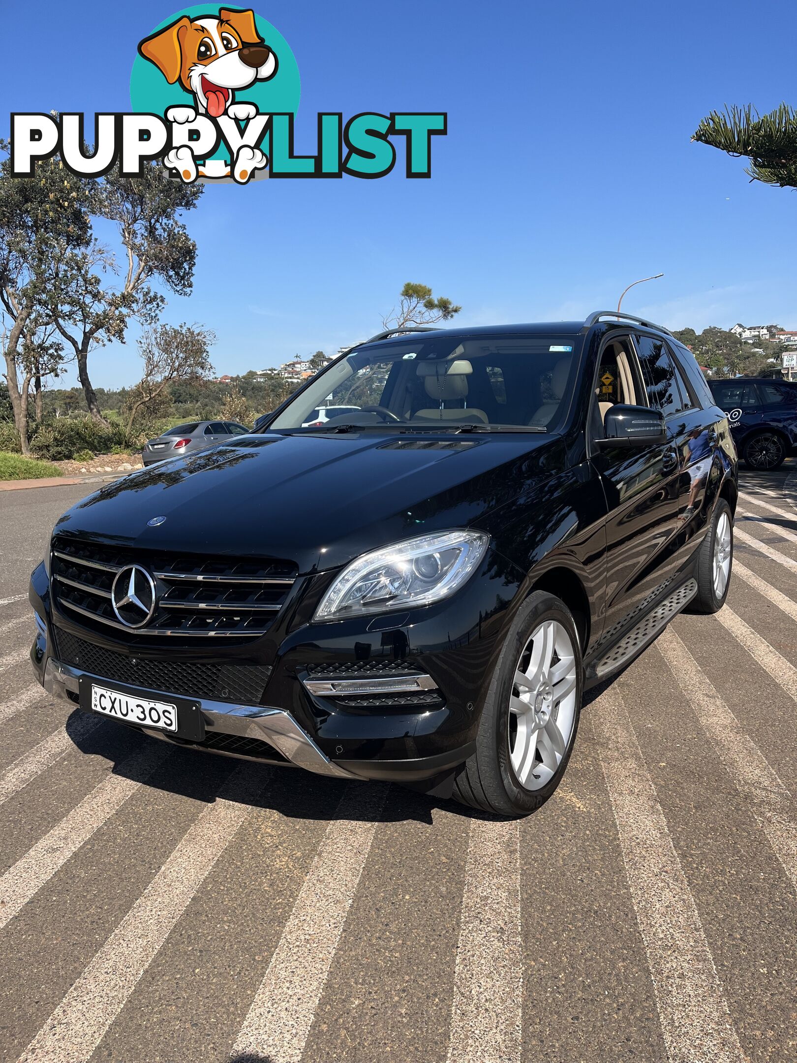 2014 Mercedes-Benz M-Class ML250 SUV Automatic