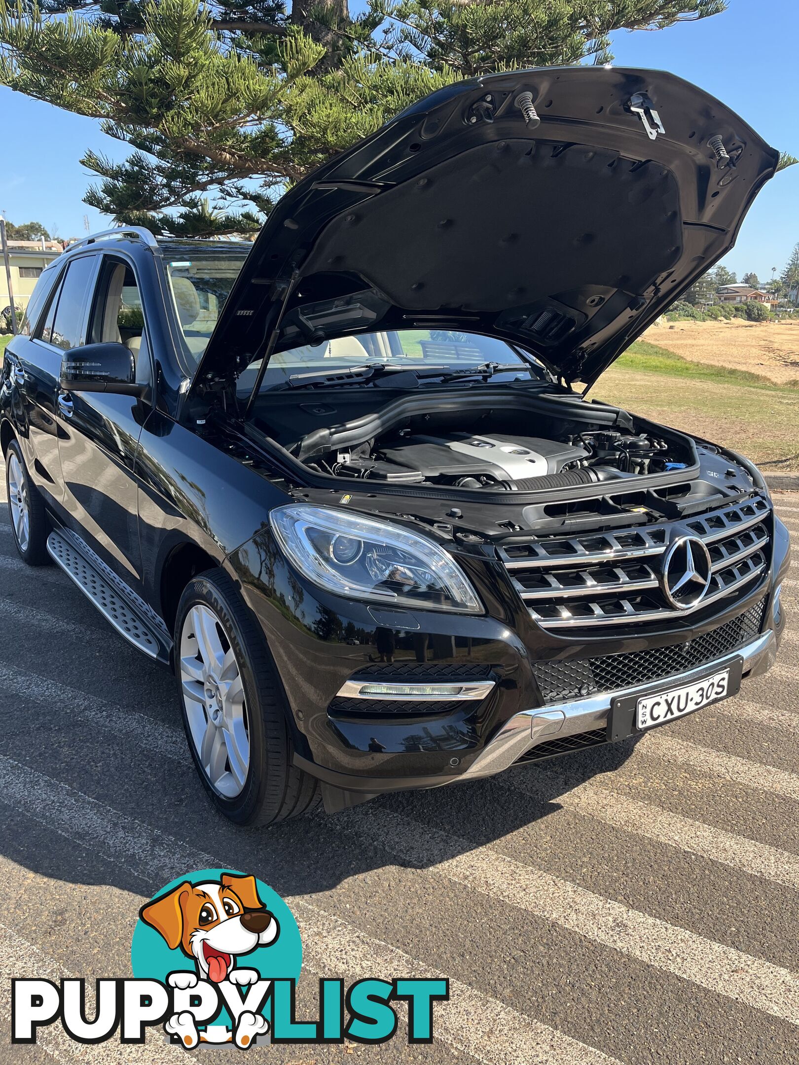 2014 Mercedes-Benz M-Class ML250 SUV Automatic