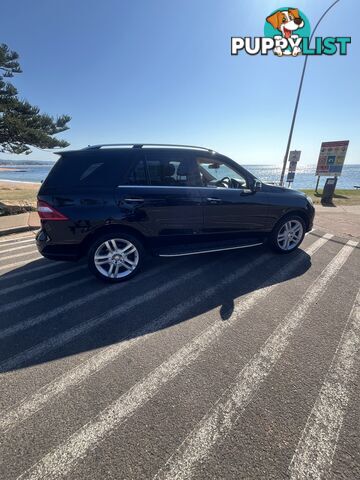 2014 Mercedes-Benz M-Class ML250 SUV Automatic