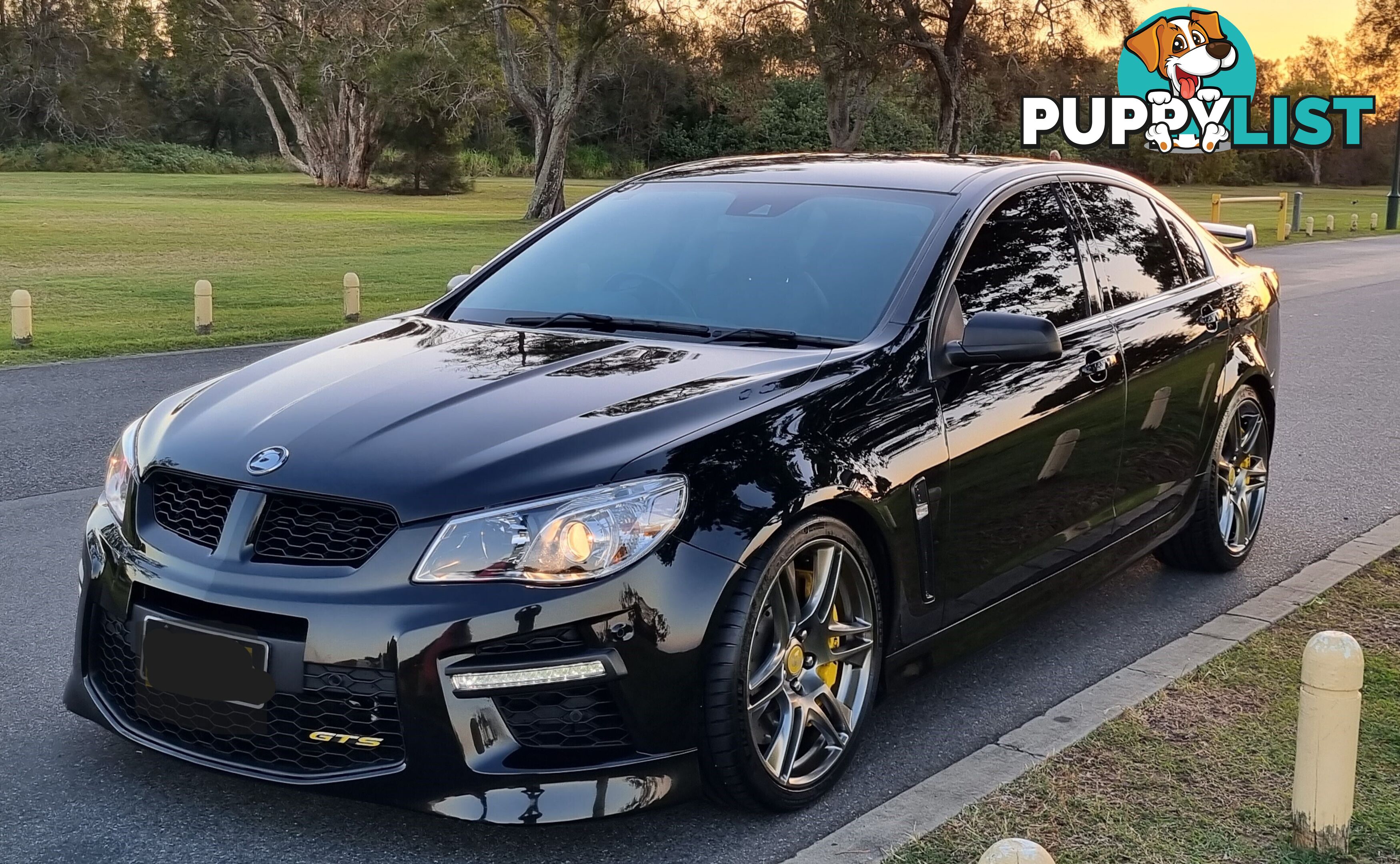 2015 HSV GTS GEN F MY15 GTS Sedan Manual