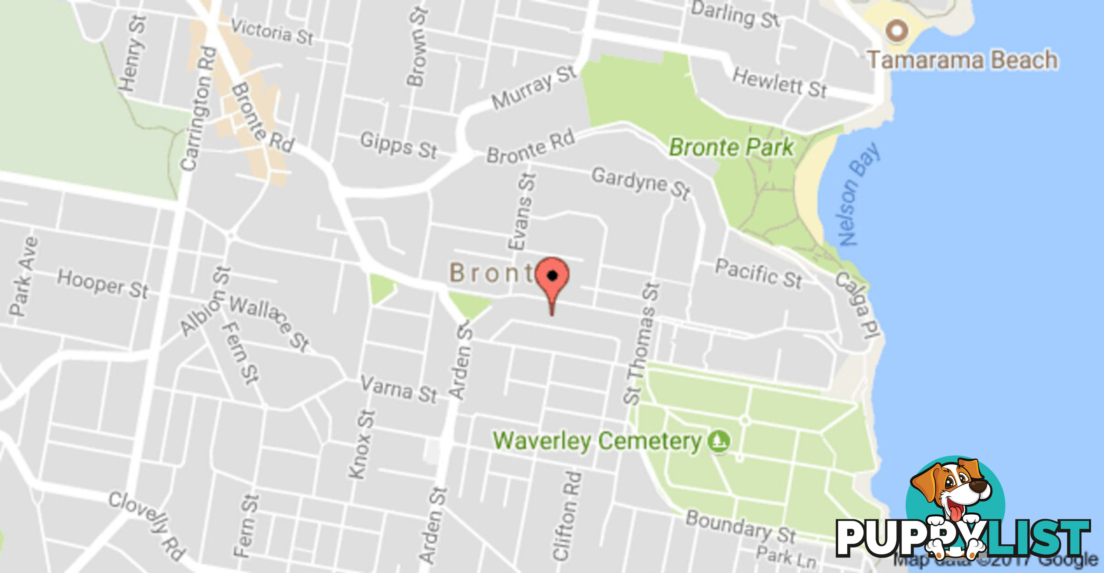 12 107 Macpherson Street Bronte NSW 2024