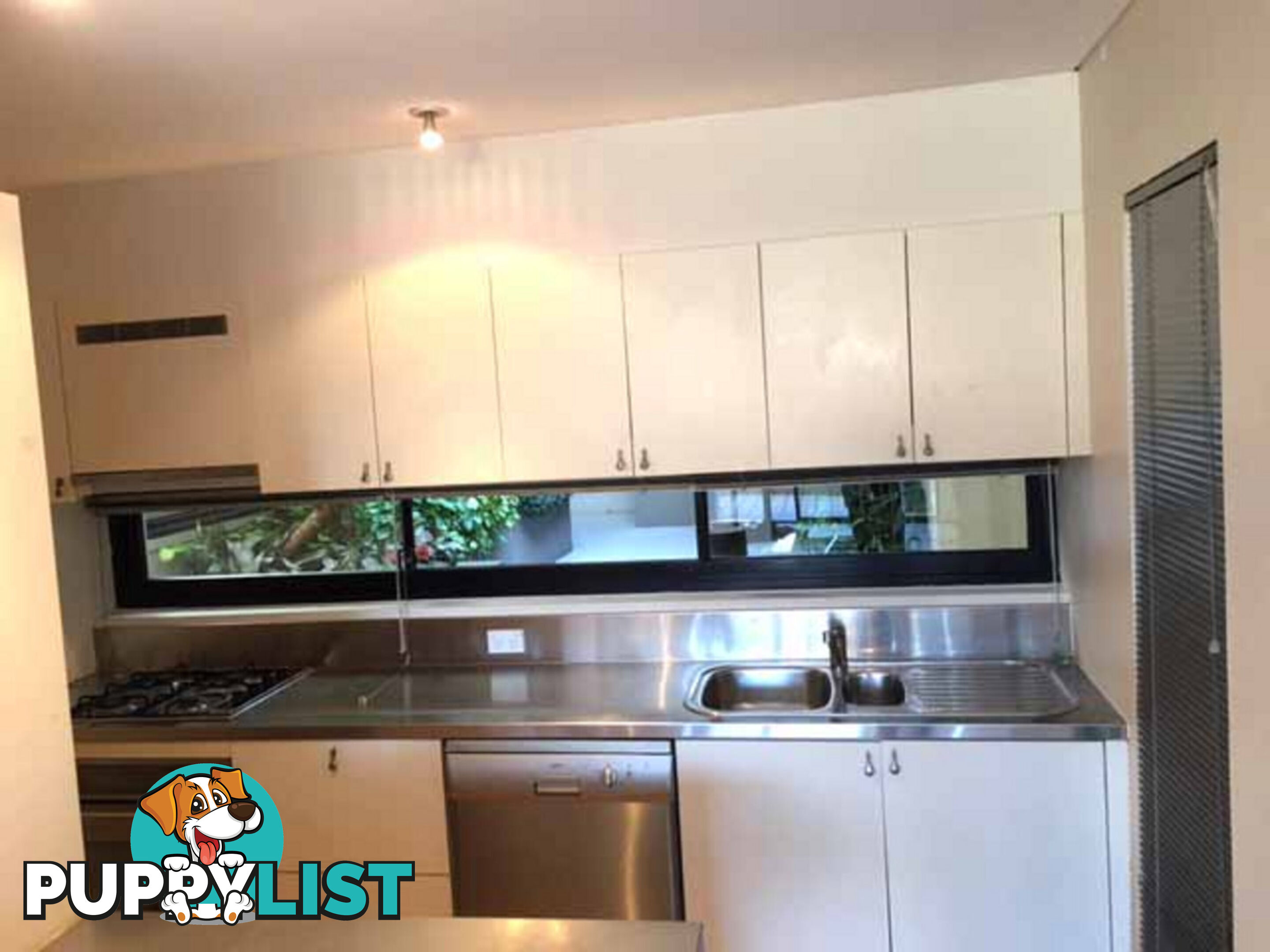 12 107 Macpherson Street Bronte NSW 2024