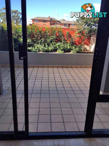12 107 Macpherson Street Bronte NSW 2024