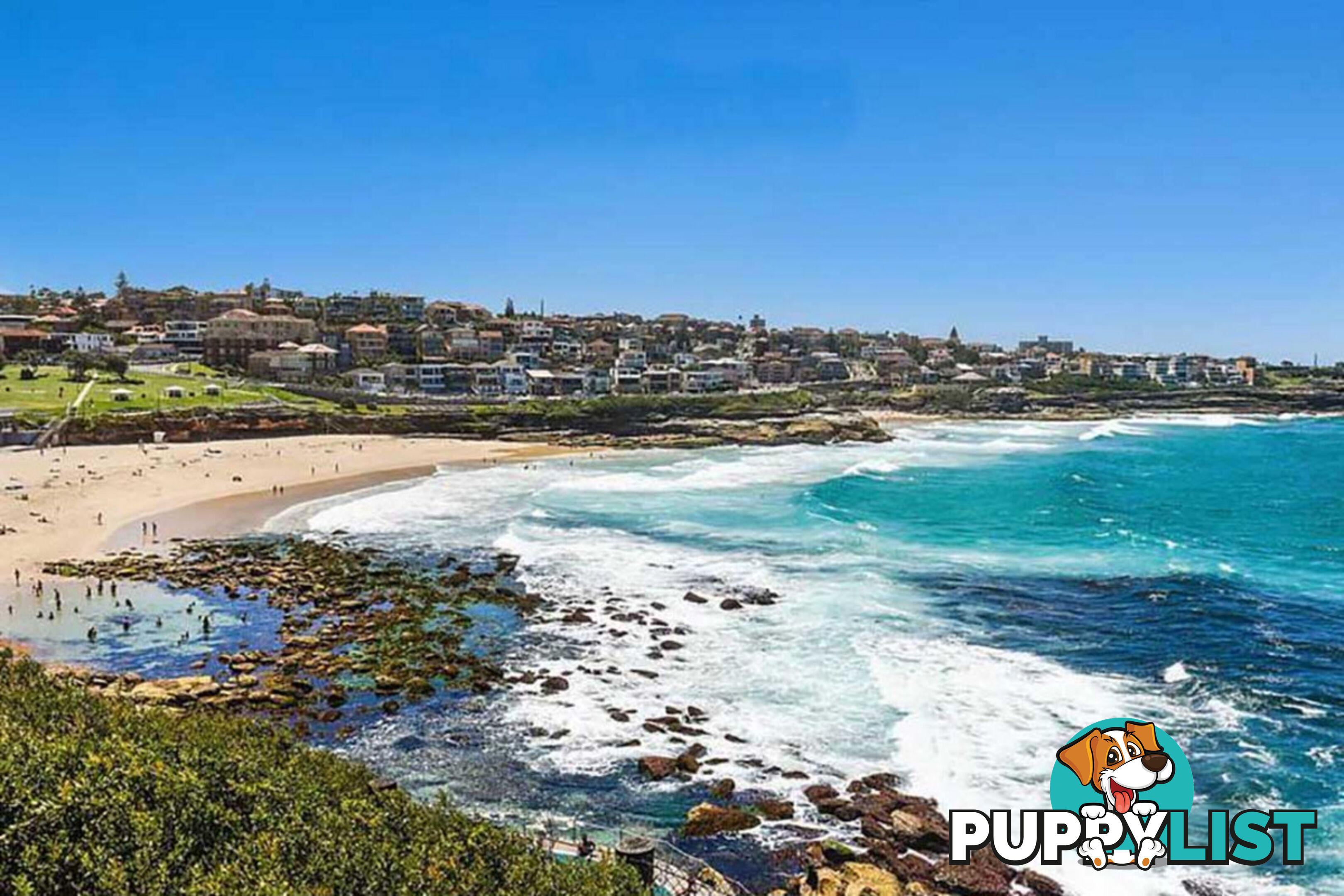 12 107 Macpherson Street Bronte NSW 2024