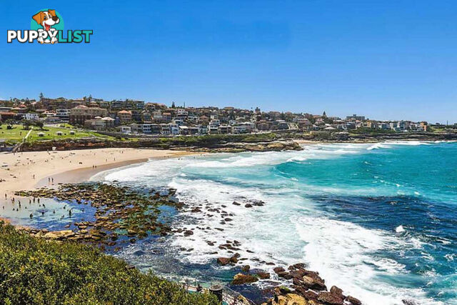 12 107 Macpherson Street Bronte NSW 2024