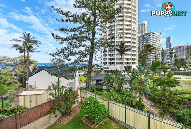 12 3303 Surfers Paradise Boulevard Surfers Paradise QLD 4217