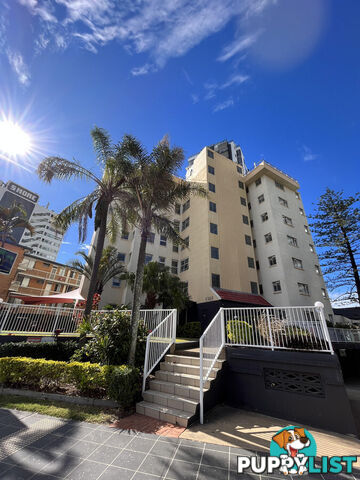 12 3303 Surfers Paradise Boulevard Surfers Paradise QLD 4217