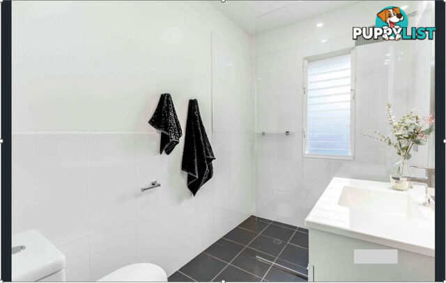207 CHATSWORTH Road Coorparoo QLD 4151