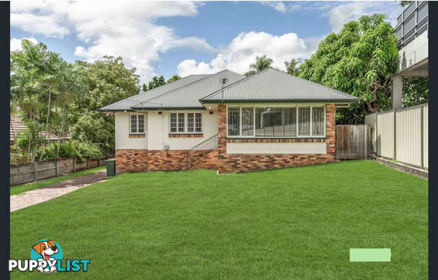207 CHATSWORTH Road Coorparoo QLD 4151