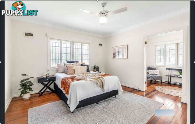 207 CHATSWORTH Road Coorparoo QLD 4151