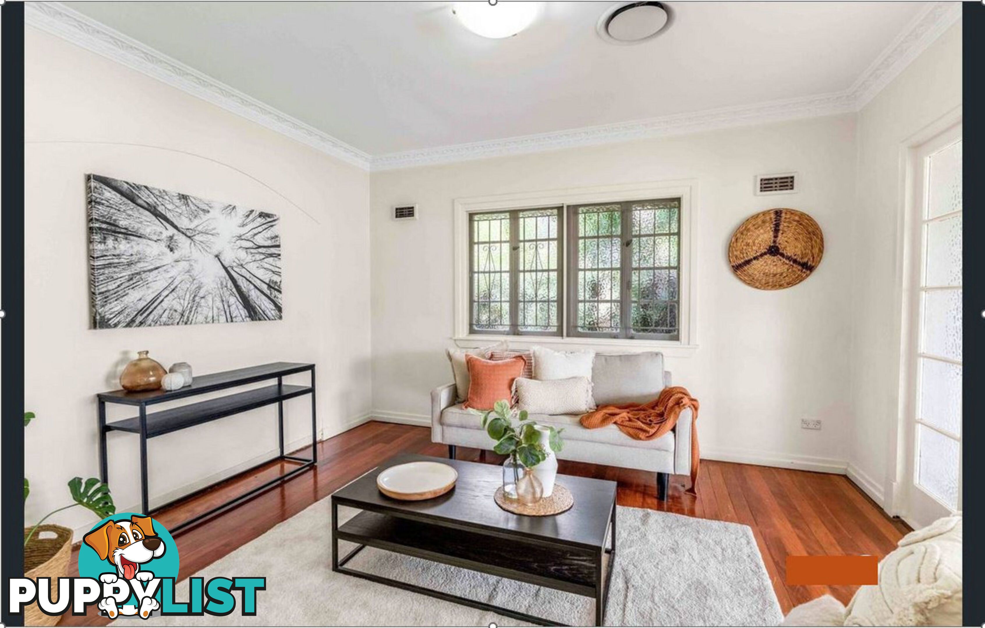 207 CHATSWORTH Road Coorparoo QLD 4151
