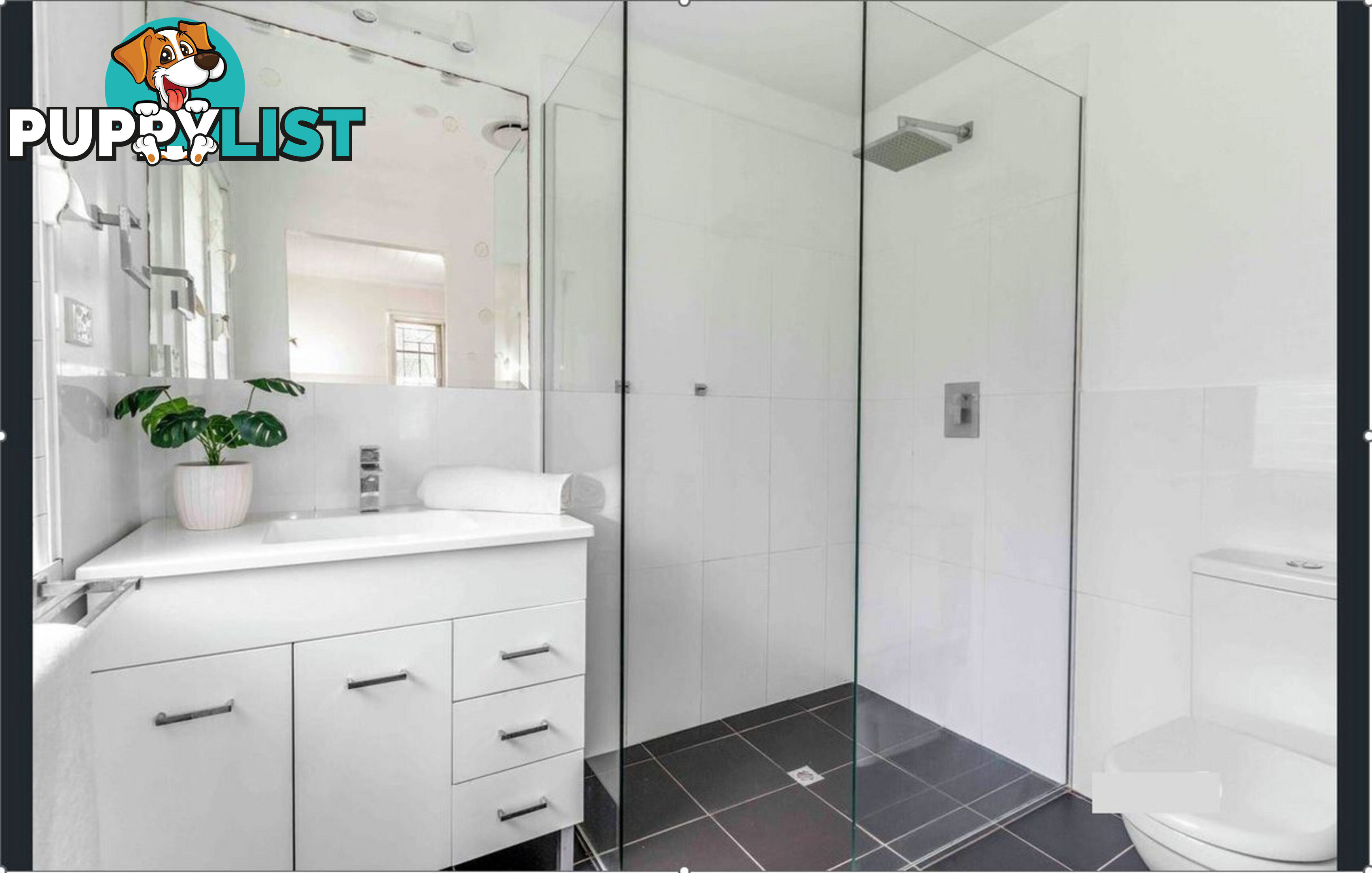 207 CHATSWORTH Road Coorparoo QLD 4151