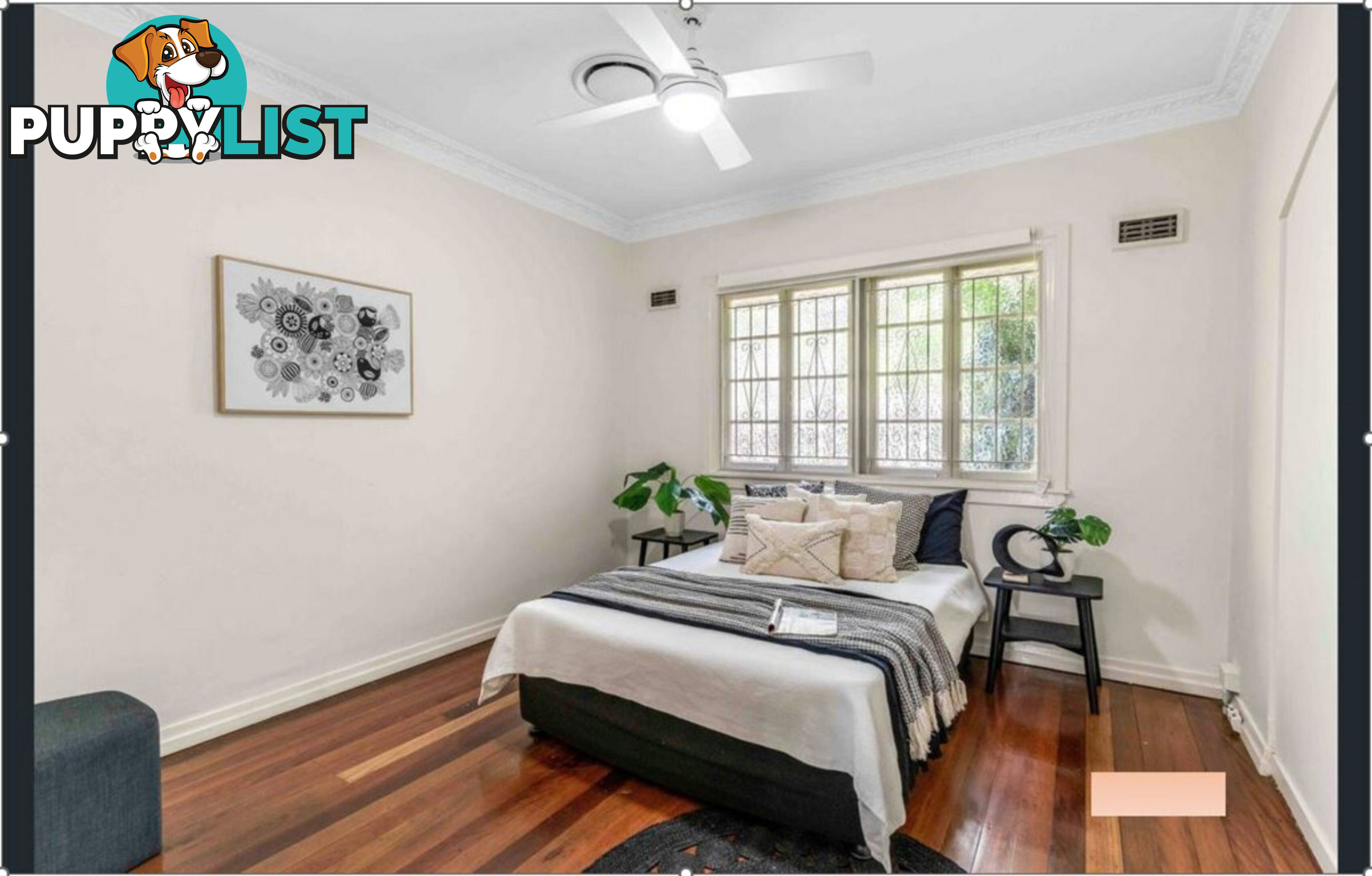 207 CHATSWORTH Road Coorparoo QLD 4151