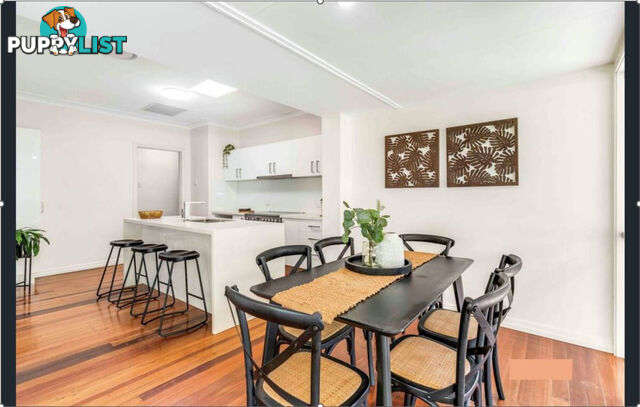 207 CHATSWORTH Road Coorparoo QLD 4151