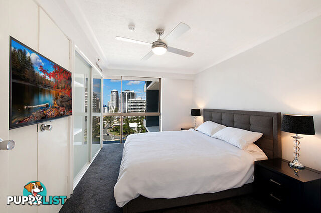 1204 28 Northcliffe Terrace Surfers Paradise QLD 4217