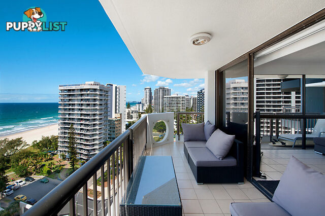 1204 28 Northcliffe Terrace Surfers Paradise QLD 4217