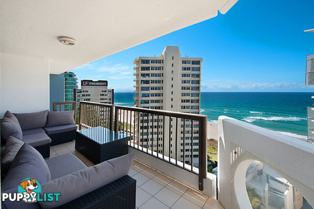 1204 28 Northcliffe Terrace Surfers Paradise QLD 4217