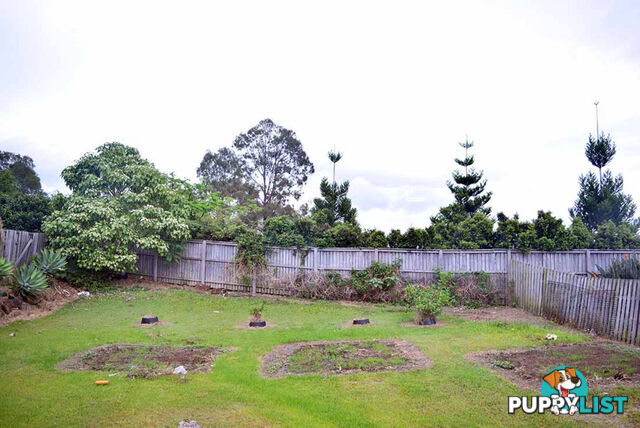 4 Queen Charlotte Court Mudgeeraba QLD 4213