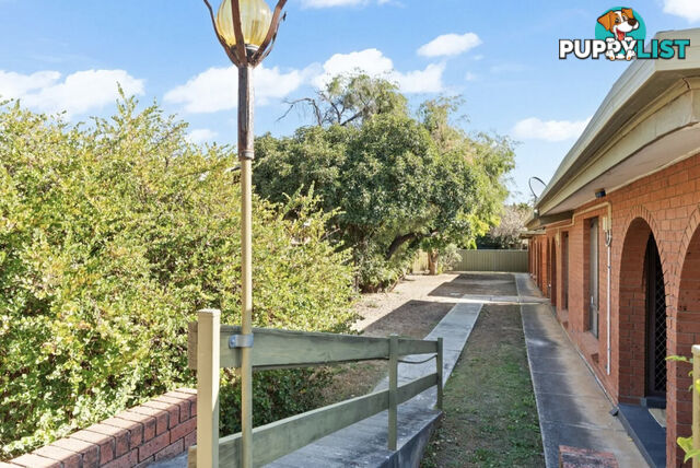 4 81 Avenue Road Payneham SA 5070