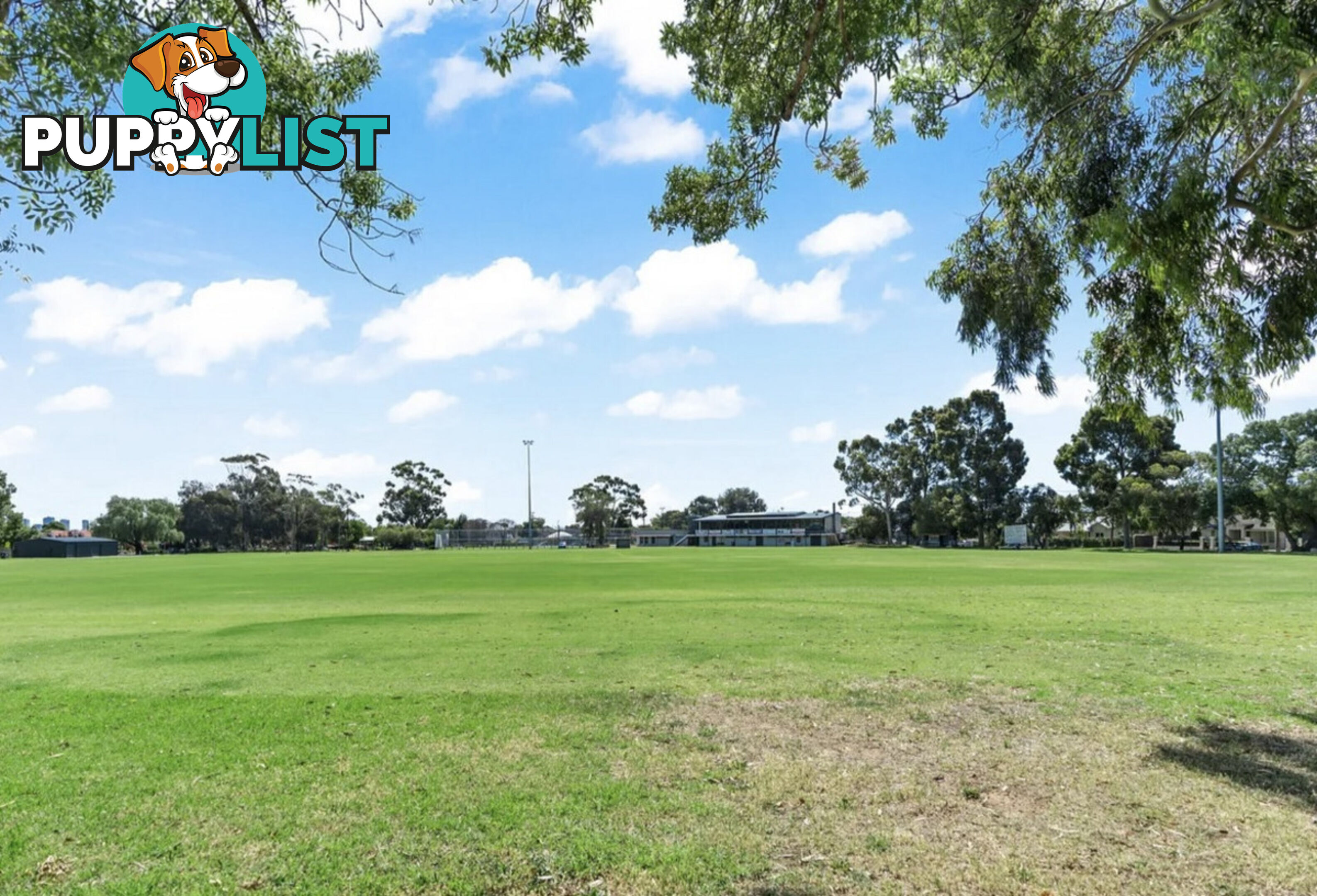 4 81 Avenue Road Payneham SA 5070